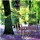 Dan Gibson & Howard Baer - Woodland Harp