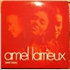 Amel Larrieux - Sweet Misery